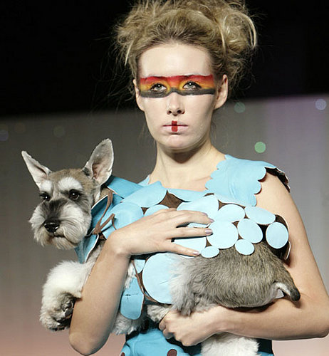 Glammin' It up at the New Year Dog Party Fashion Show