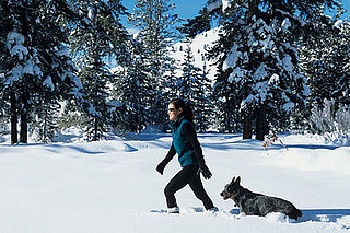 Is Your Pet a Snow Bunny?