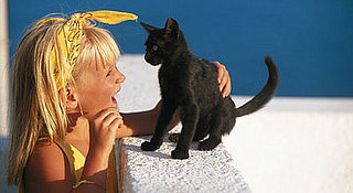 Answer Your Cat's Question Day...