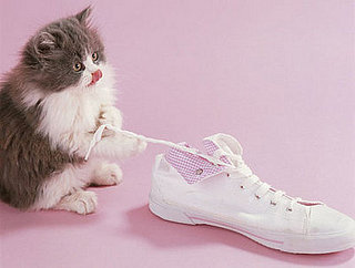 First Step to Make a Change in Cat?