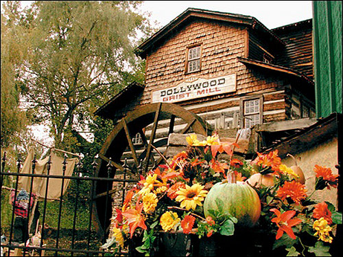 Out and About: Tennessee's Doggywood