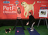 Molly Sims and Poupette Get Fit . . . and You Can, Too!