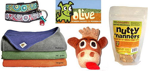 Exclusive PetSugar Discount Alert! Olive Green Dog