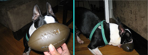 Super Bowl's Super Toys