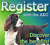 Is Your Dog Registered with the AKC?