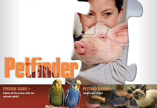 Petfinder Premieres Tonight on Animal Planet!