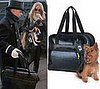 Found! Charlie's Chic (and Cheap!) Carrier