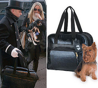 Found! Charlie's Chic (and Cheap!) Carrier