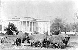 Quiz: Who (Else) Called the White House Home?