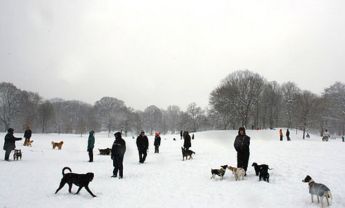 Globetrotters: Blizzard Hits Big Apple