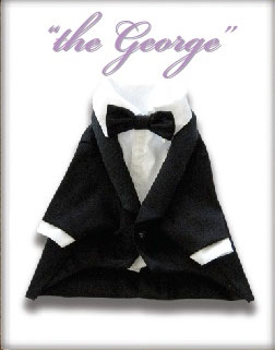 "The George" Lilytuxes "The George" Lilytuxes