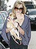 New Puppy Alert! Lauren Conrad