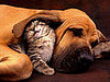 Too Cute For Words!