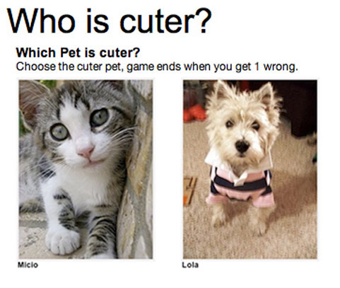 Cute... and Cuter!