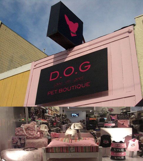 Out and About: D.O.G. Pet Boutique Out and About: D.O.G. Pet Boutique