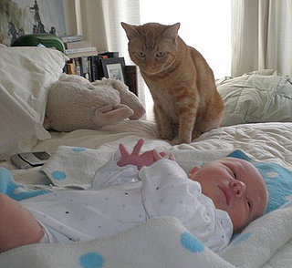Lil Tip: Bringing Baby Home to Fido