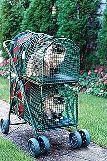 Double Decker KittyWalk Pet Stroller: Spoiled Sweet or Spoiled Rotten?