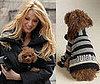 Found! Pretty Penny's Cozy Sweater