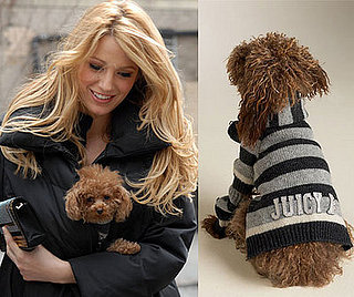 Found! Pretty Penny's Cozy Sweater