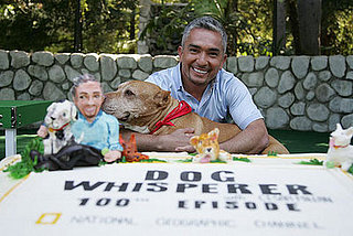 The Scoop: The 100th Episode Dog Whisperer Reunion Show