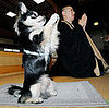 Globetrotters: Conan the Praying Pooch