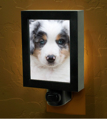Pet Night Lights