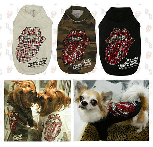 Shine a Light 'Cause Your Doggie Is a Rolling Stone
