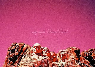 Etsy Find: Presidents in Pink