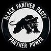 New Black Panther Party Endorses Obama