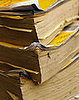 Tricks My Mama Taught Me: Telephone Book 