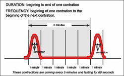 Why Didn't Anybody Tell Me: Contractions