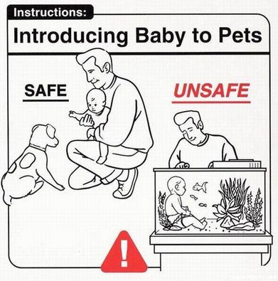 Introducing Baby to Pets Introducing Baby to Pets