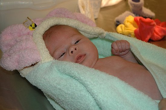 DSC_0020 DSC_0020