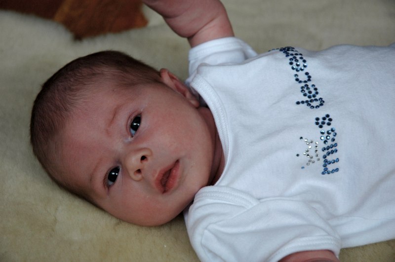 DSC_0075 DSC_0075