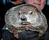 Groundhog Day 2008