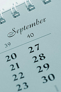 Ovulation Calculators Help Determine Baby Making Time