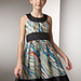 Lulu Print Dress
