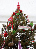our tree