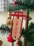 mini sled