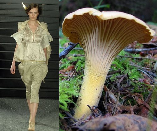 Trend de la Creme For Coutorture: Wild Growth Trend de la Creme For Coutorture: Wild Growth