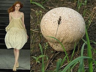 Trend de la Creme For Coutorture:  Wild Growth