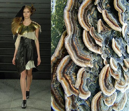 Trend de la Creme For Coutorture: Wild Growth Trend de la Creme For Coutorture: Wild Growth