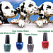 OPI Dog Pawlish