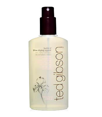 Ted Gibson Build It Blow Drying Agent Ted Gibson Build It Blow Drying Agent