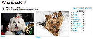 Time to Play: Which Pet Is Cuter?!