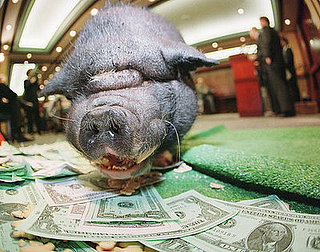 Oink Oink! Congress Spends $17.2 Billion on Pet Projects