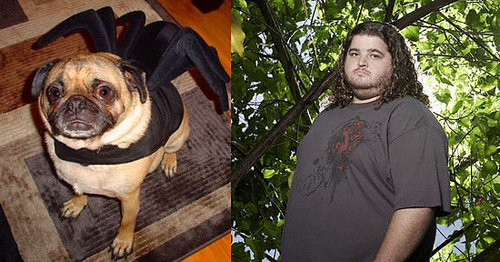 What's Your Take: Is It Okay to Name Pets After People?