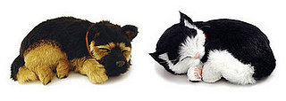 Would You Forgo Pet Parenting For a Fake Pet? 