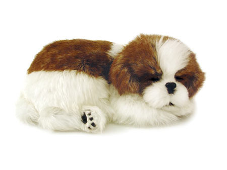 Perfect Petzzz: Shih Tzu Perfect Petzzz: Shih Tzu