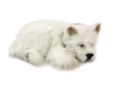 Perfect Petzzz: West Highland Terrier Perfect Petzzz: West Highland Terrier